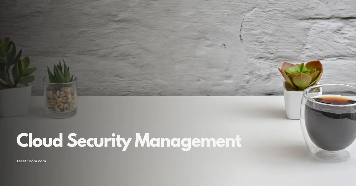 Cloud Security Management for Your Assets