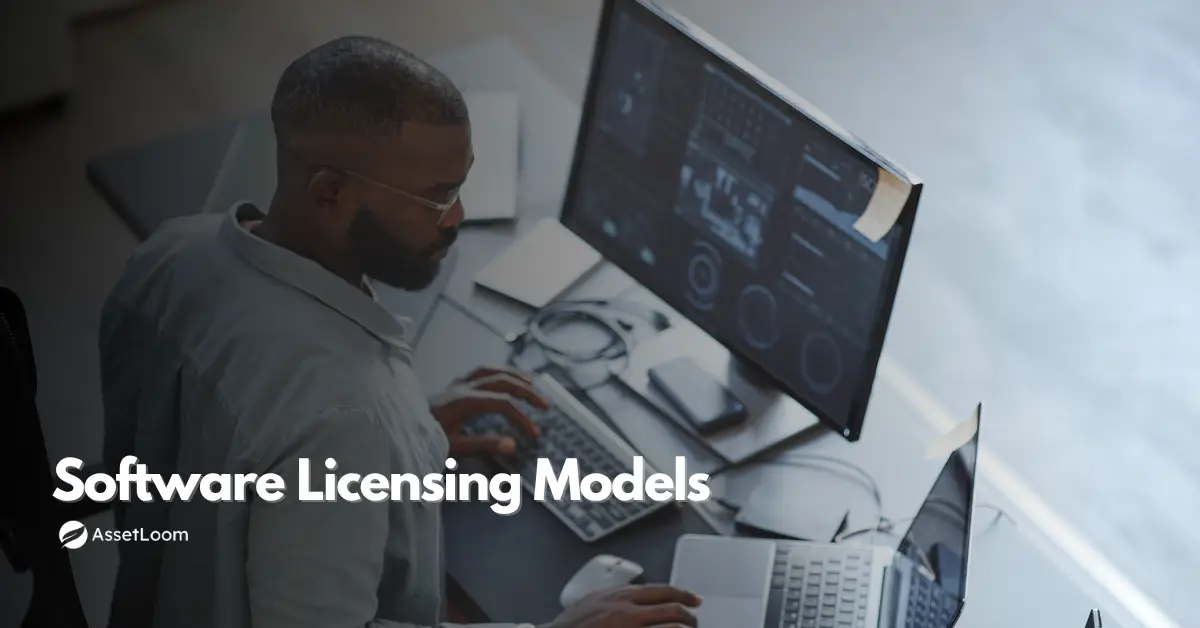 Exploring Software Licensing Models: Costs, Flexibility, and Risks