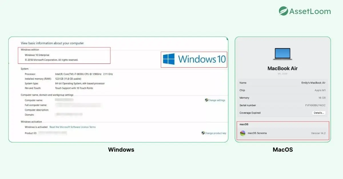 Operating System Type Window vs MacOS