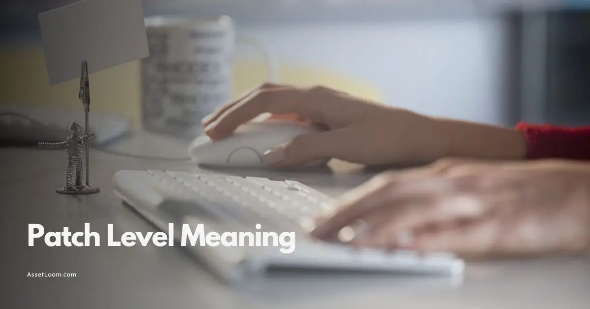 Patch Level Meaning