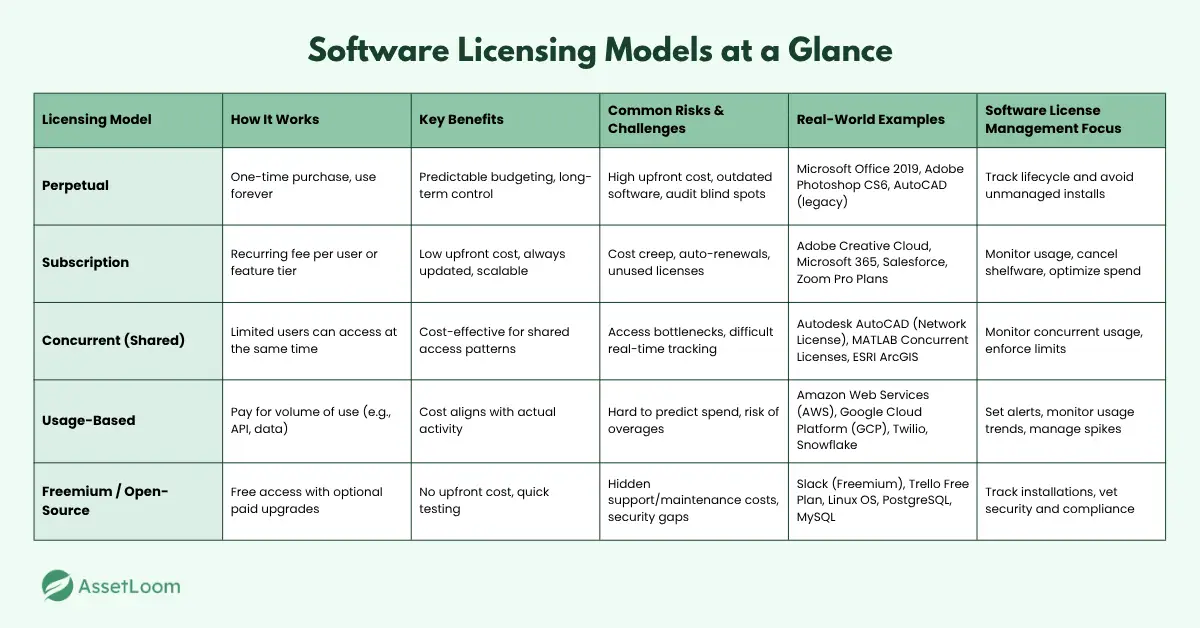 Understanding the Core Types of Software Licensing Models