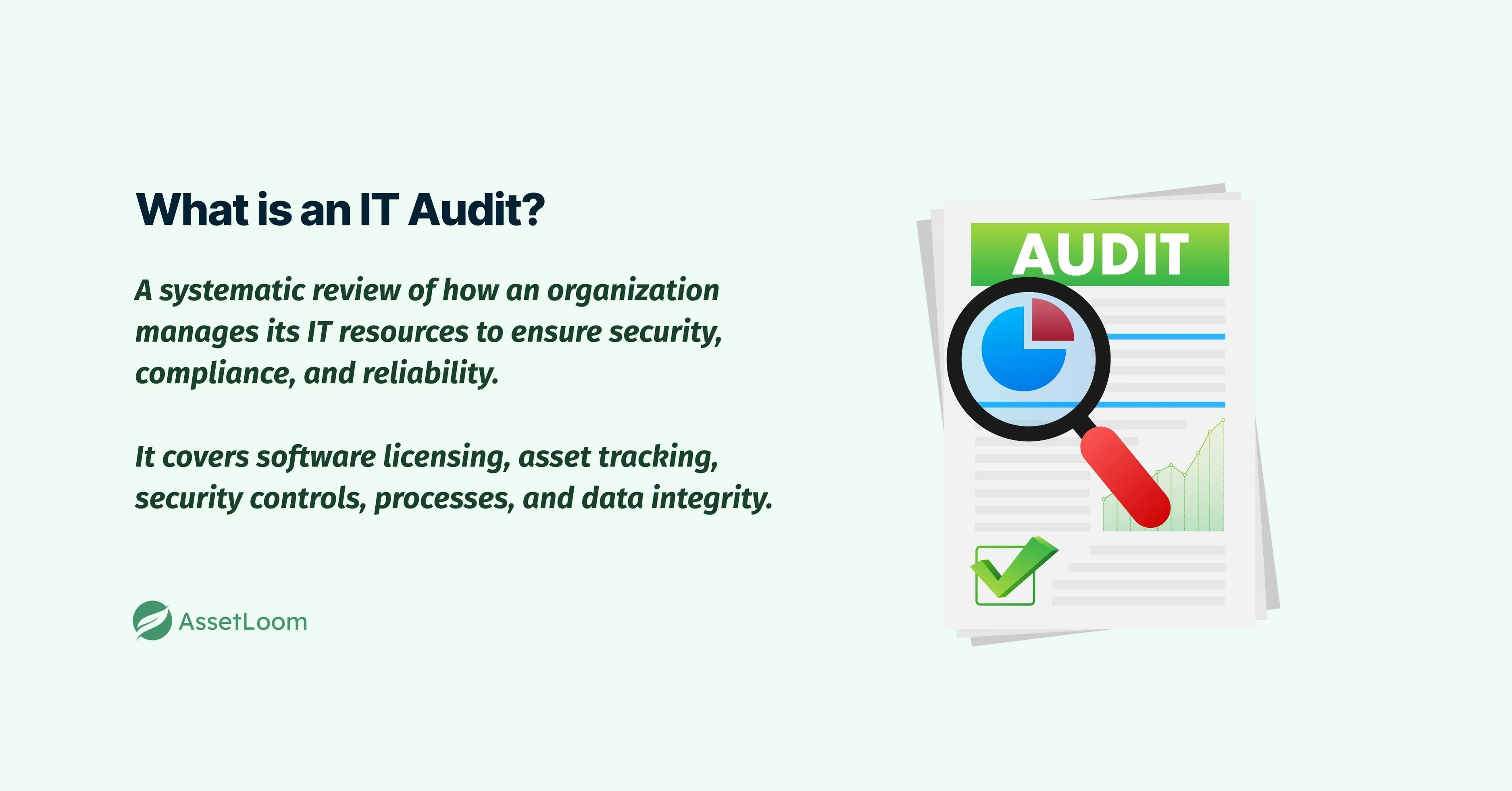 What is an IT Audit