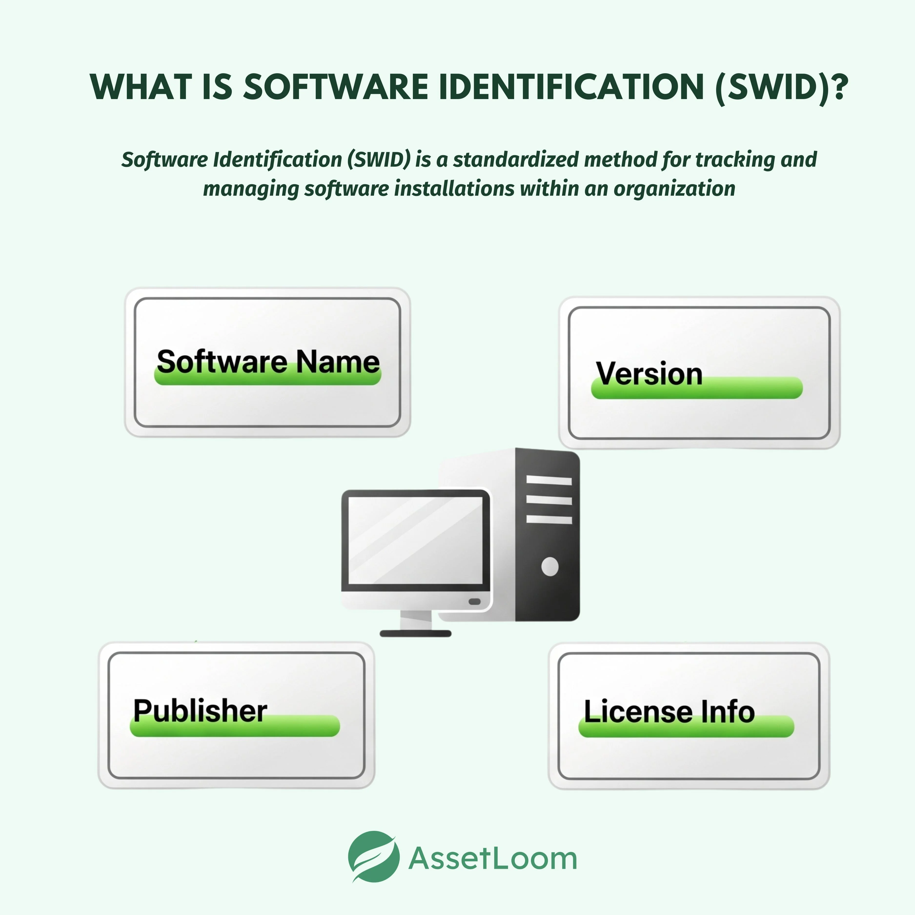 What is Software Identification